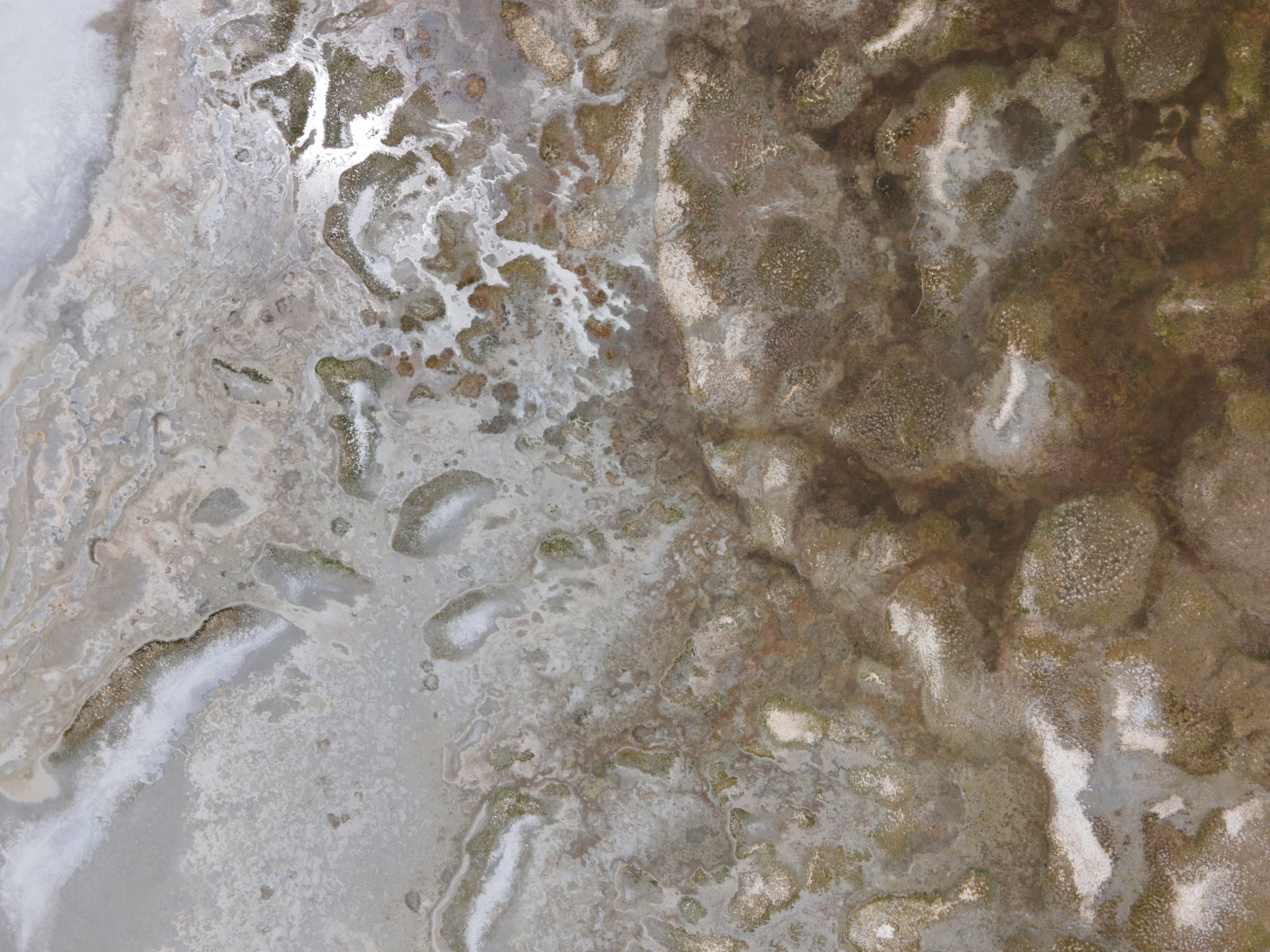 Aerial view of pale branching mineral patterns across brown terrain