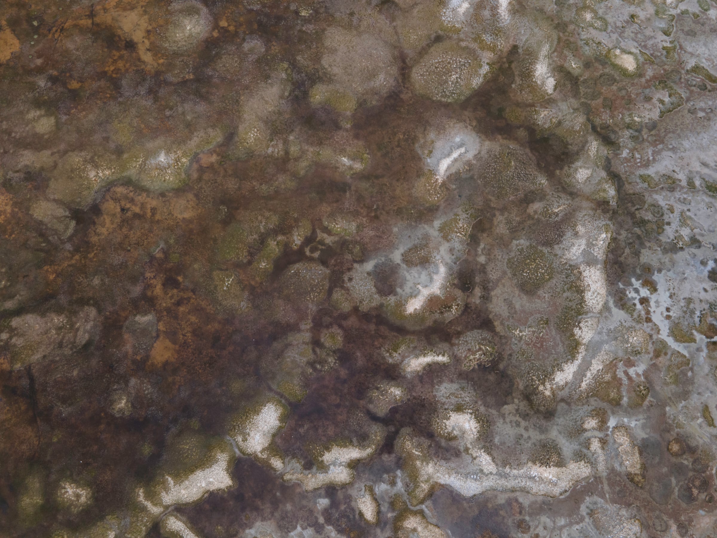 Aerial view of dark mottled terrain crossed by pale lines