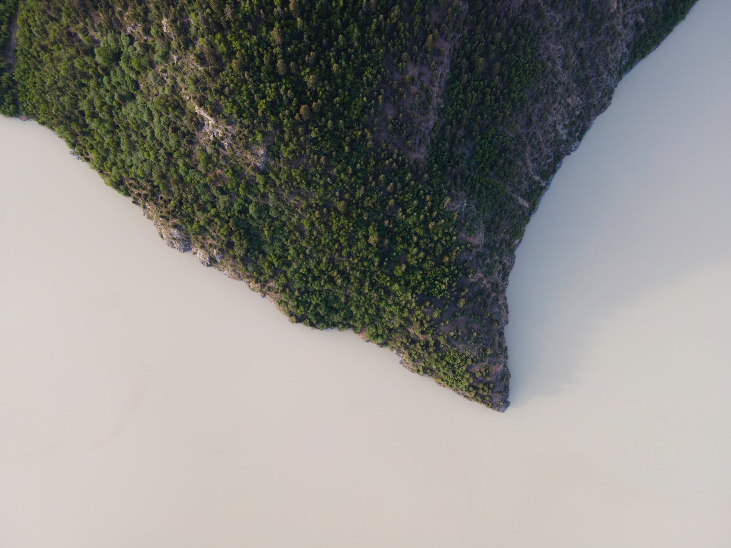A dark triangular patch of terrain against a pale expanse