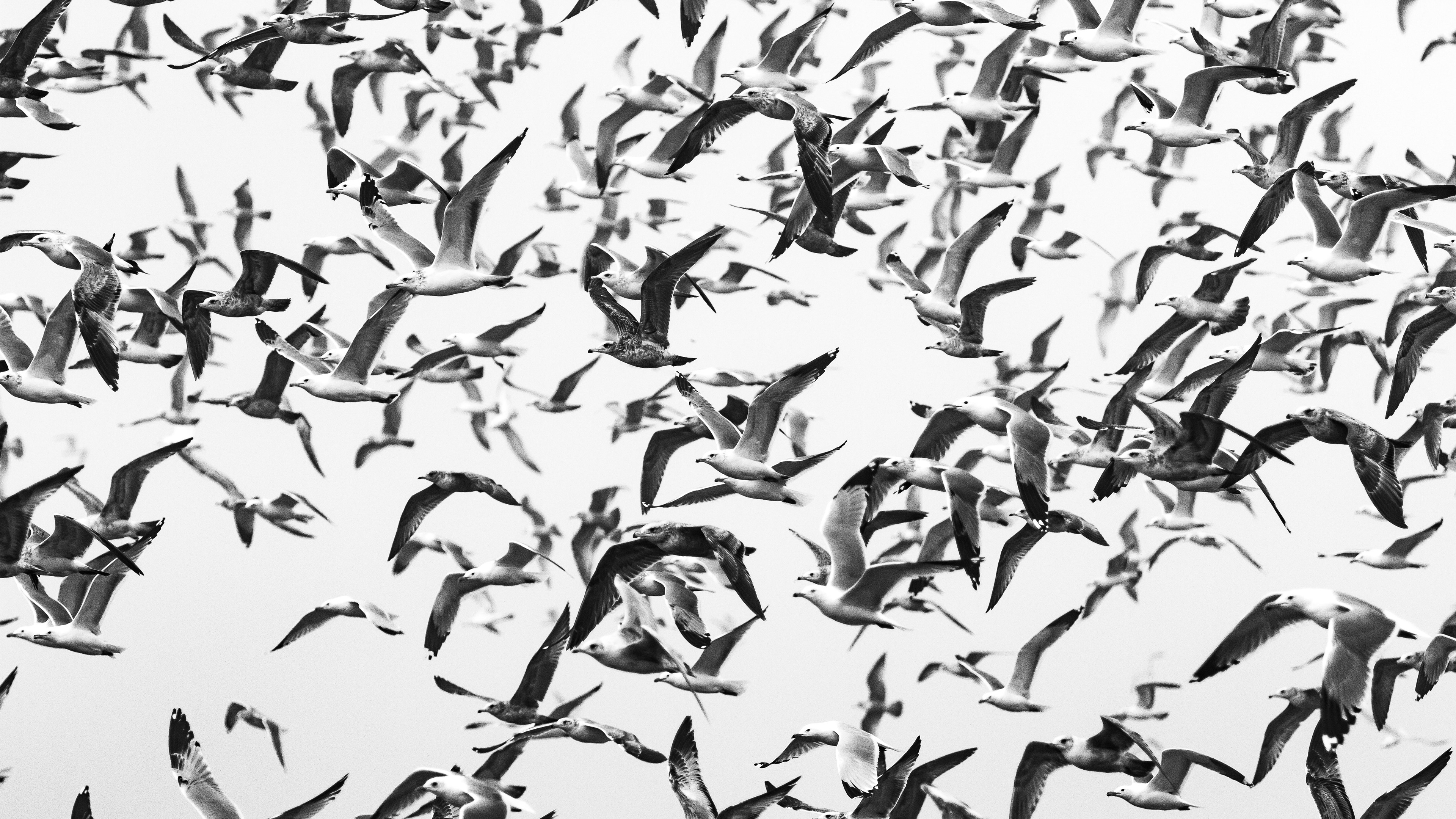 Delusional Abstraction, image 2 of 14