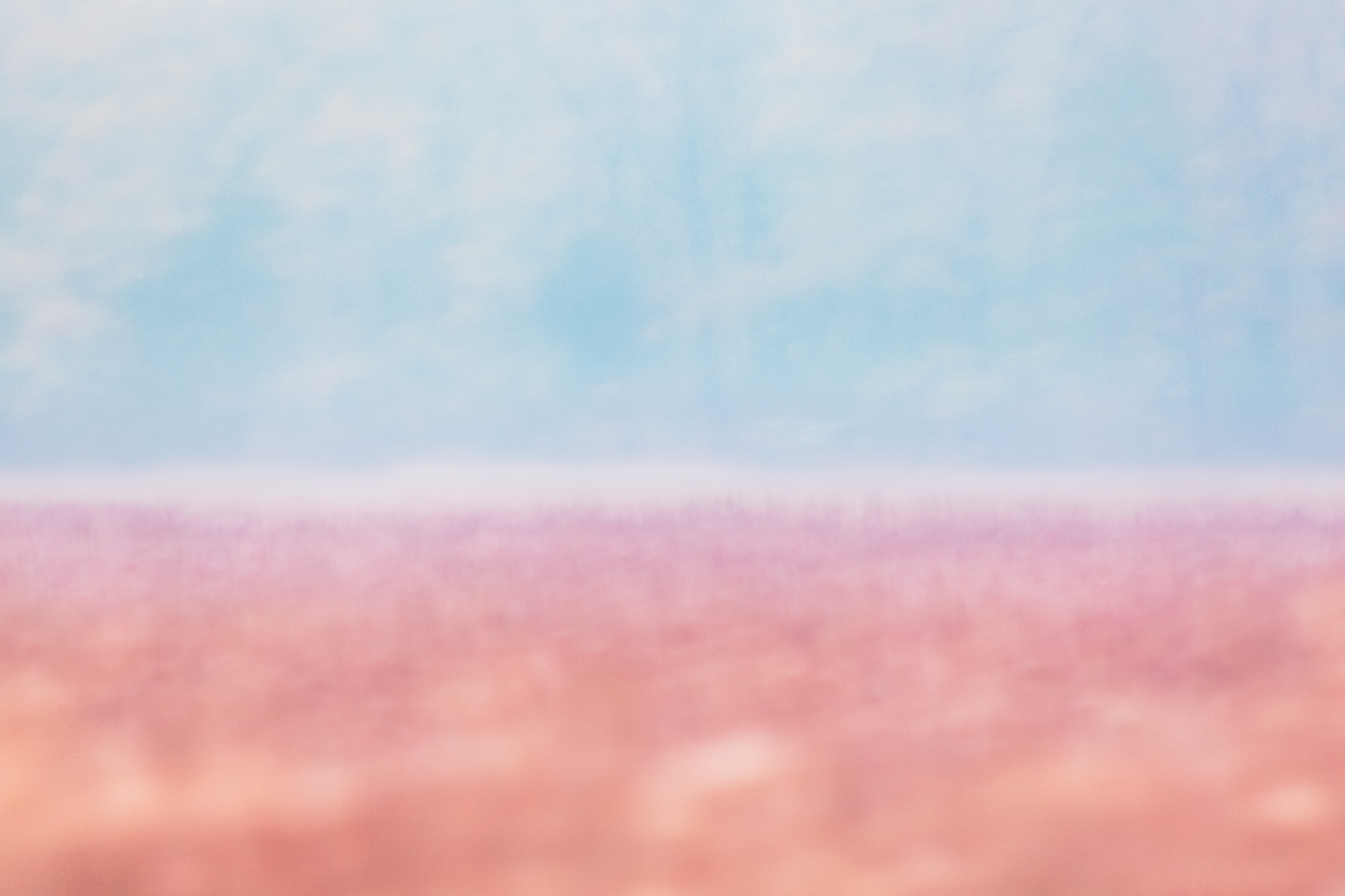 Delusional Abstraction, image 7 of 14