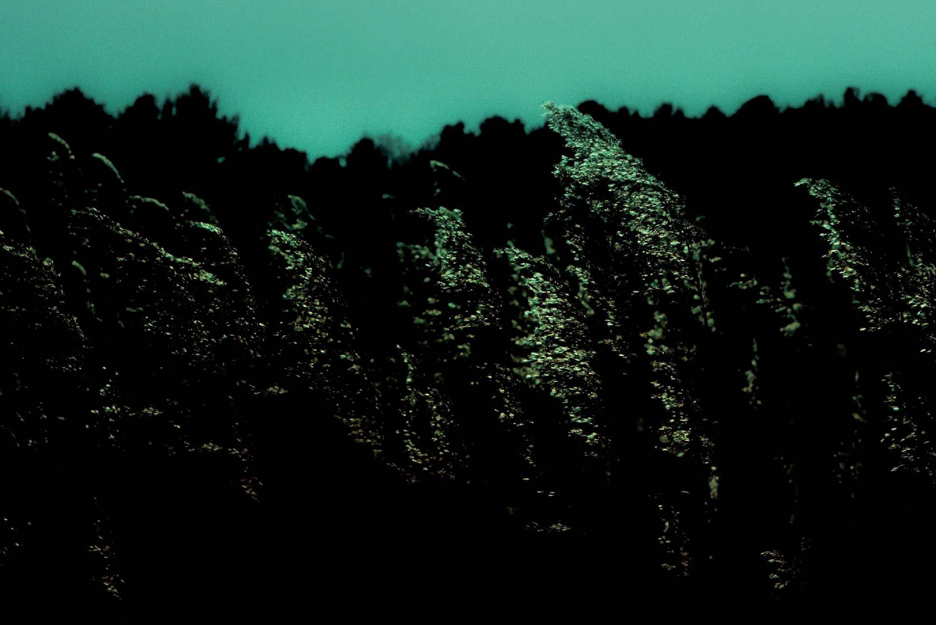 Delusional Abstraction, image 12 of 14