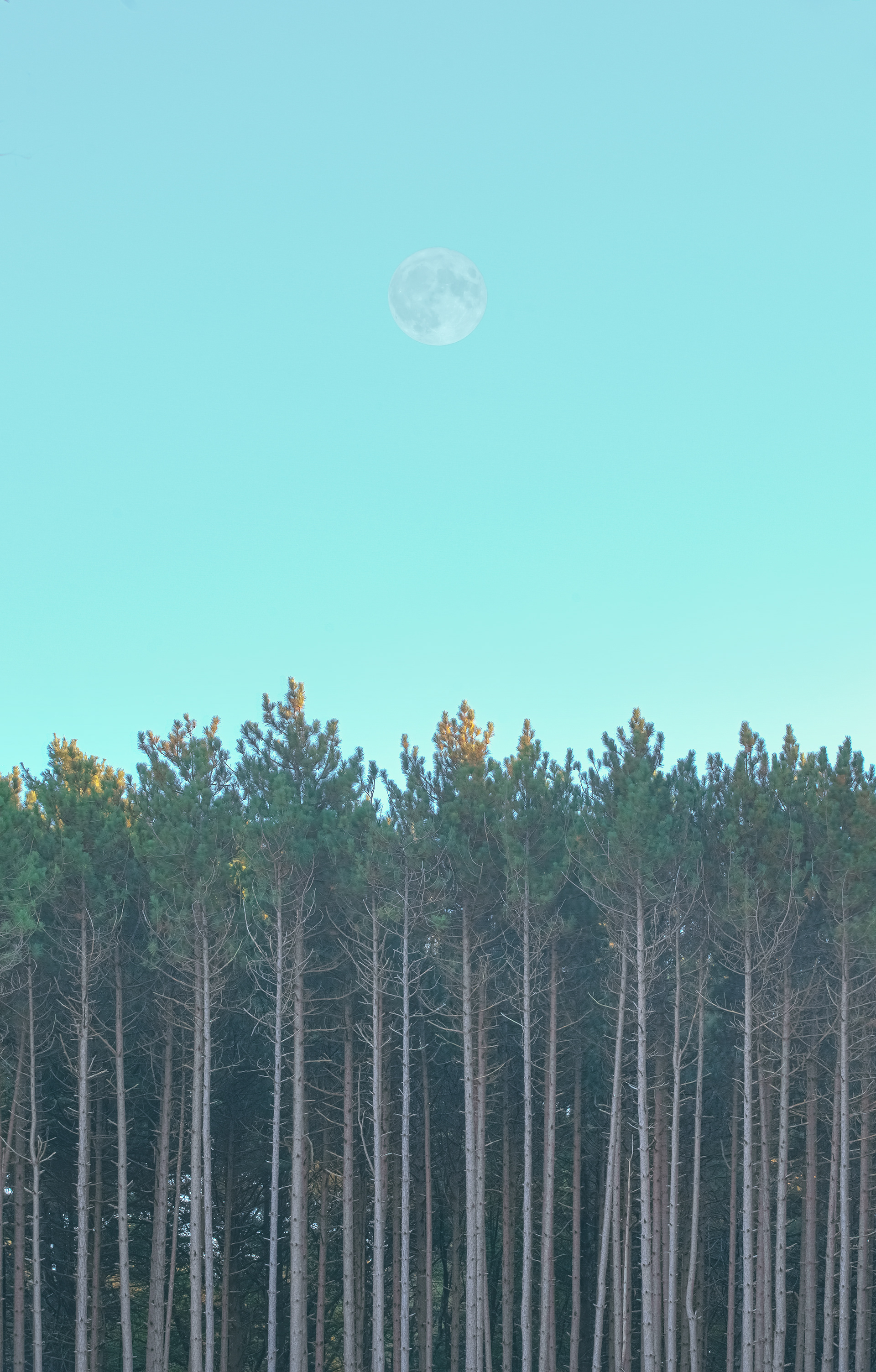 Delusional Abstraction, image 13 of 14