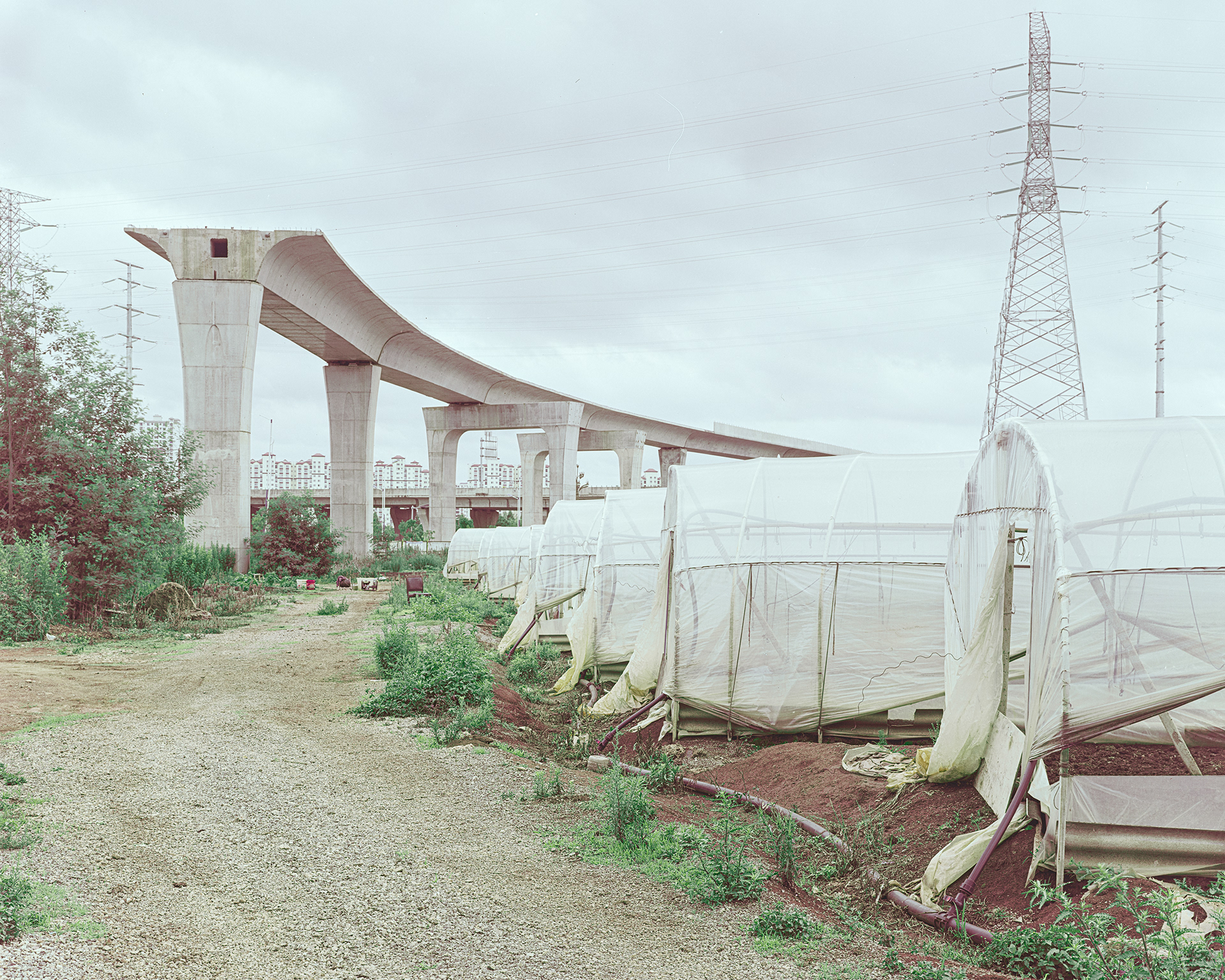 Line 7, image 4 of 6