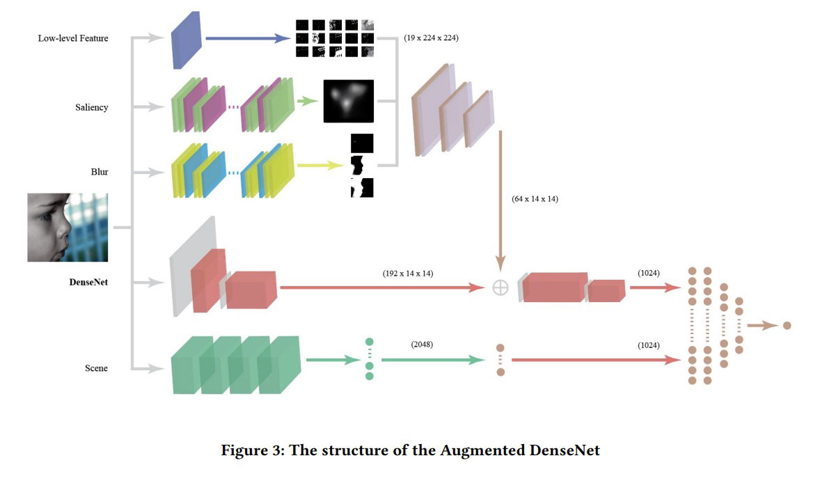 Diagram of the augmented DenseNet architecture